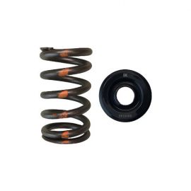 Brian Crower Mazda MZR Valve Spring & Retainer - Steel Retainers