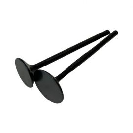 Brian Crower Honda/Acura B18C/B16A/B17A 33mm Black Nitride w/Flat Face Intake Valves