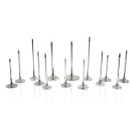 Ferrea Honda B17A1/B18C1/C3 33mm 5.47mm 25 Deg S-Flo Stock 6000 Series Intake Valve - Set of 8