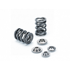 Supertech Mitsubishi EVO X 4B11 Dual Valve Spring Kit (Use OEM Seal-Seat) buy in USA