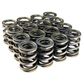 BLOX Racing Valve Springs for B18A-B / B20 (1.8L-2.0L DOHC) buy in USA