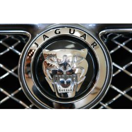 JAGUAR XF XJ XK Badge Emblem Front OEM 7W93-16B856-AD 70mm C2C38927 buy in USA