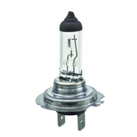 Hella Halogen H7 Bulb buy in USA