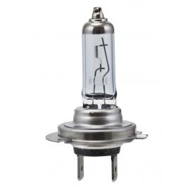 Hella H7 12V 55W PX26D HP 2.0 Halogen Bulbs buy in USA