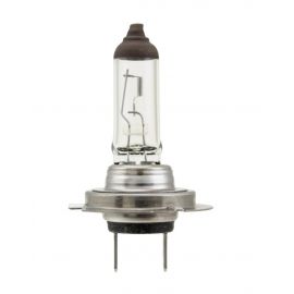 Hella Bulb H7 12V 70W PX26d T4.625 buy in USA