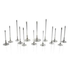 Ferrea Chevrolet LS7 1.615in 0.313in 5.227in 24 Deg S-Flo Rad Grv S-Alloy Exhaust Valve - Set of 8 buy in USA