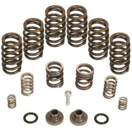 BD Diesel Governor Spring Kit 4000rpm - 1994-1998 Dodge 12-valve/P7100 Pump buy in USA