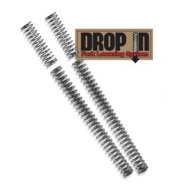 Progressive 10-2001 Drop In Fork Lwrng Kit buy in USA