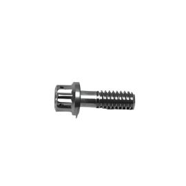 Wilwood Stainless Steel Rotor Bolt - 12pt 1/4-20 X .75 L buy in USA