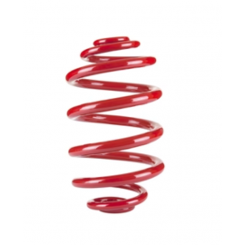 Pedders Rear Coil Spring 2006+ Hyundai Santa Fe buy in USA