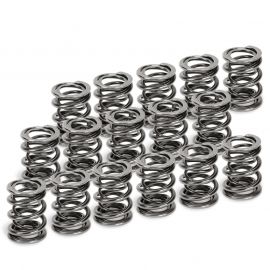 Supertech Honda H22A1/H22A4 Dual Valve Spring - Set of 16 buy in USA