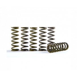 Hinson Clutch 19-20 Honda CRF450R Hi-Temp Clutch Spring Kit - Set of 6 buy in USA