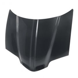 Anderson Composites 1998-2002 Pontiac Trans Am Type-OE Hood buy in USA