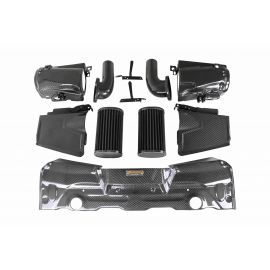 Armaspeed Carbon Fibre Air Intake for Mercedes Benz E63s W213 AMG buy in USA