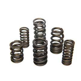 Ferrea Nissan RB26 Dual Valve Spring - Set of 24 buy in USA