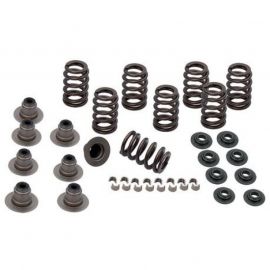 S&S Cycle 2017+ M8 Models Valve Spring Kit - .605in buy in USA