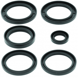 QuadBoss 04-09 Kawasaki KFX700 V-Force Rear Differential Seal Kit buy in USA