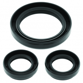 QuadBoss 04-06 Yamaha YFM350 Bruin 4x4 Front Differential Seal Kit buy in USA