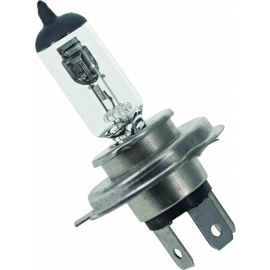 BikeMaster H-4 Halogen Bulb buy in USA