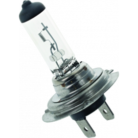 BikeMaster H-7 Halogen Bulb buy in USA