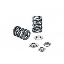 Supertech Nissan SKYLINE RB25 DOHC 24V (w/Solid Lifters) Dual Valve Spring Kit buy in USA