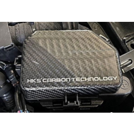 HKS 2023 Nissan Z Dry Carbon Fuse Box Cover buy in USA