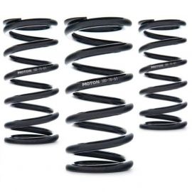 AST Linear Race Springs - 140mm Length x 100 N/mm Rate x 61mm ID - Single buy in USA