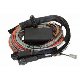 Haltech Universal Elite 2500/2500 T Premium Wire-In Harness buy in USA