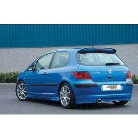 AS Design Roof Spoiler for Peugeot 307 buy in USA