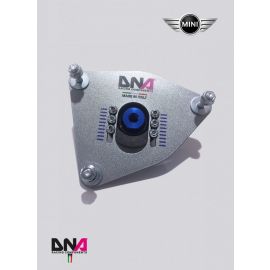 DNA Racing adjustable top mount on uniball for Mini Cooper R50/R52/R53 (PC0884) buy in USA