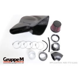 Gruppe M Carbon Air Intake Kit for Audi TTS 8J Quattro 2.0TFSi (FRI-0196) buy in USA