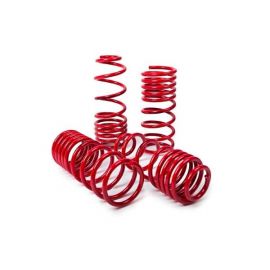 MTS Technik Lowering Springs Kit for Volkswagen Transporter T6 all engines 2019+ (MTSXVW406/7) buy in USA