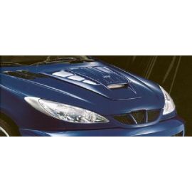 Orciari Front Grill for Peugeot 206 buy in USA