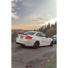 BMW Psm Style M2 Carbon fiber Spoiler buy in USA