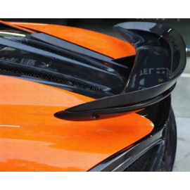 McLaren 570s P1 Style Carbon Fiber Wing buy in USA