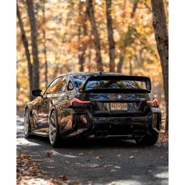 BMW G87 M2 Carbon Fiber Artisan LTW Style Wing buy in USA