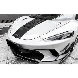 McLaren GT Carbon Fiber Front Splitters buy in USA