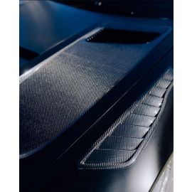 Mercedes AMG GT/GTS/GTC/GTR Carbon Fiber Fender Vents buy in USA