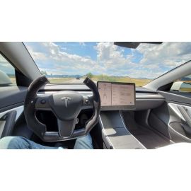 Tesla Full Custom Steering Wheels buy in USA