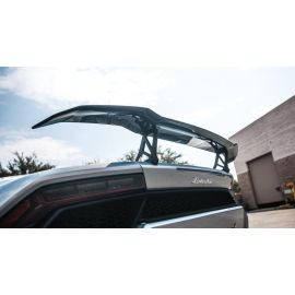 Lamborghini Huracan Artisan Wing buy in USA