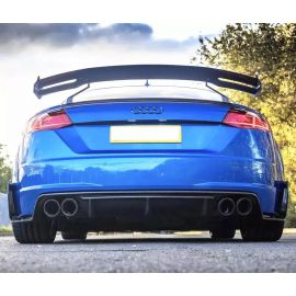 Audi TTRS Carbon Fiber Dual Hole Wing buy in USA