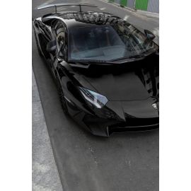 Lamborghini Aventador SV Style Wing With Base Panel buy in USA