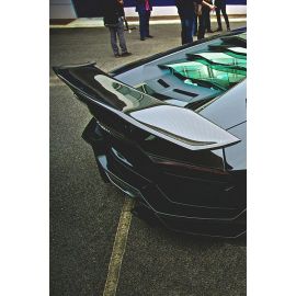 Lamborghini Aventador Artisan Wing with Base Panel buy in USA