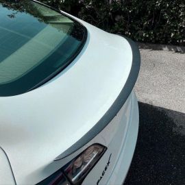 Tesla Sport Carbon Fiber Spoiler buy in USA