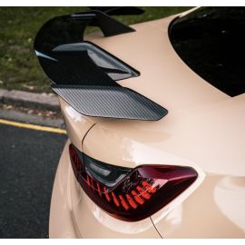 BMW Carbon Fiber Artisan Carbon Fiber Wing buy in USA