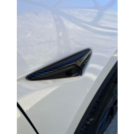 Tesla Model 3/Y Carbon Fiber Camera Cover buy in USA