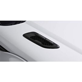 Range Rover Evoque - Carbon Fibre Bonnet Vents (pair) buy in USA