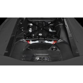 Lamborghini Aventador LP700-4 - DMC 'Molto Veloce' Carbon Fiber Engine Compartment Kit buy in USA