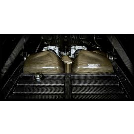 Lamborghini Gallardo - Tecnocraft Carbon Fibre Engine Compartment Covers buy in USA