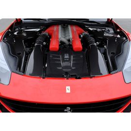 Ferrari F12 Berlinetta - DMC 'Spia' Carbon Fiber Engine Bay Refinement Kit buy in USA